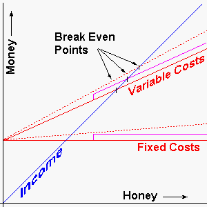 Graph Showing Break Even Point
