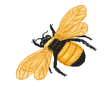 Stylised picture of a Bumblebee