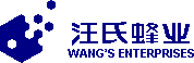 Wang's enterprises logo