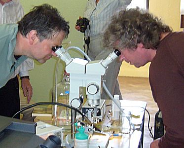 Two more Gormanston attendees at the microscope