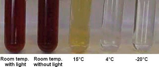 Rack of test tubes showing deterioration against time, redrawn by DAC