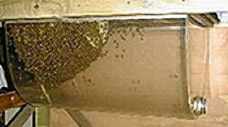 Perspex Catenary Hive